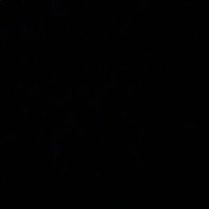 Meet your Posher, Angye